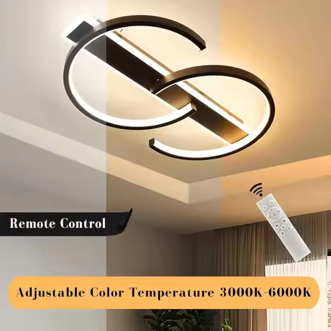 Art Design Dimmable led Ceiling Light Simple Remote Control Ceiling Lamps Home Surface Mounted LED C