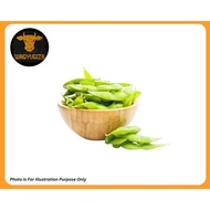 [WagyuGiza Malaysia] Japanese Frozen Edamame 400g