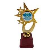 Badminton Trophy Awards 2022-927 Trophy (Gold) Height 23CM Customize Available.