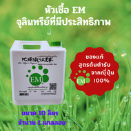 EMRO KANGYONG EM อีเอ็ม หัวเชื้อจุลินทรีย์ที่มีประสิทธิภาพ 10 ลิตร (1 แกลลอน)