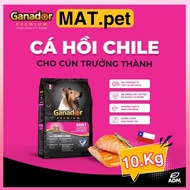 [HỎA TỐC] 10Kg Thức Ăn Hạt Chó Chó Ganador Cung Cấp Nhiều Dinh Dưỡng