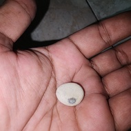 batu mustika kelor putih