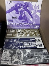 Mg hg Gundam高達