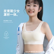 Girls' Sports Underwear Women's Shock-Proof Running Junior High School High School Girls' Growth Ves