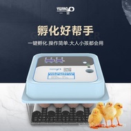 Yiwang Incubator Automatic Egg Incubator Household Type Egg Incubator Small Smart Chicken Incubator