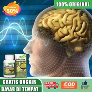 Obat Gejala Gangguan Saraf Otak Obat Saraf otak Bermasalah Sakit Saraf Gangguan Saraf Otak Anak Dewa