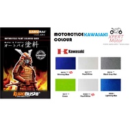 [SAMURAI SPRAY PAINT] KAWASAKI COLOUR K410, K411, K414, K417, K420, K939,K159