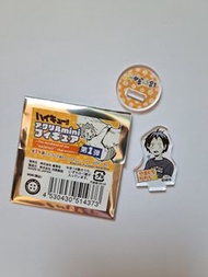 ＜多圖＞排球少年 Fan Park 幼年 mini 立牌 烏野 白鳥澤