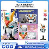 Bandai RISING FREEDOM BN Head Collection VOL.4 Ascending Freedom Avatar Head toys