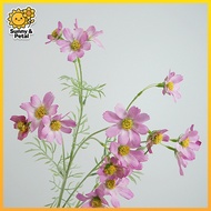 Cosmos Immortal Flower Long Branch Cosmos Gesang Flower Small Daisy Simulation Flower Wedding Home D