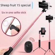selfie stick Apple iphone15/16 Special Mobile Phone Selfie Stick Type-C Glory Plug-in Handheld Floor