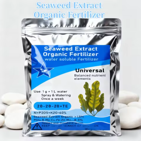 60g Seaweed Extract Organic Fertilizer Balanced Nutrient Elements In Water Soluble Fertilize 20-20-2