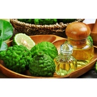 Kaffir Lime Essential Oil (Citrus Hystrix Leaf Oil)