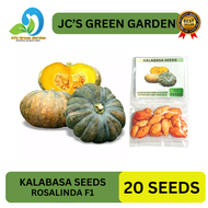 (20 SEEDS) - KALABASA SEEDS/ROSALINDA F1 / EASY TO GROW/ MORE HARVEST/ MORE INCOME