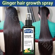 Genuine ginger hair growth spray 120ml anti-hair loss care hair growth minoxidil 5% hair loss treatm