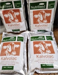 KALVOLAC PREMIUM pengganti susu induk untuk anak kambing cempe pedet