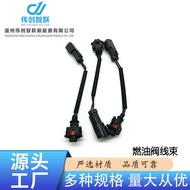 Manufacturer Auto Parts Fuel Valve Wire Harness Fuel Measurement Solenoid Valve Plug Wire Timer Sole