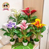 🔥Ready Stock🔥Calla Lily Artificial Flower Calla Lily Bunga Calla Lily/Bunga Hiasan/Pasu Hiasan/Daun Hiasan/Daun Keladi