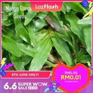Cow Grass Seeds - 2500 Seed Benih Seeds,  天天都那么绿 - Mango Garden Seeds