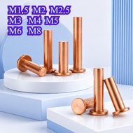 Copper countersunk head rivets GB869 percussion type flat head flat cone head solid rivets Copper d 