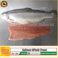 GROSIR Salmon Utuh Ekoran/salmon Whole/salmon/ikan salmon 1 ekor segar
