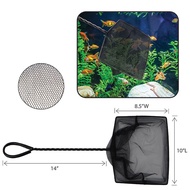 Fish Net (Black - Coarse) 14"Handle (Net Size - 10"L x 7"W / 12"L x 10"W)