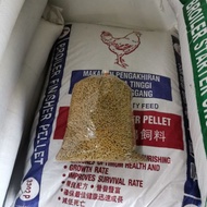 Dedak ayam kasar 3302P 2kg