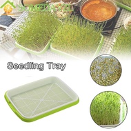 SOMEDAYMX Seedling Tray Encryption Natural Nursery Pots Wheatgrass Green Soilless Planting Soilless cultivation