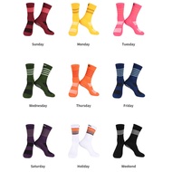 MONTON SOCKS KNIT DAILY