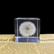 Dandelion Daisy Specimen Cube Dried Flower Preserved Flower Epoxy Resin Specimen Dandelion Resin Pla
