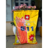 Hybrid Corn Seeds F1 - CP511