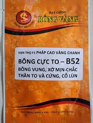 Hạt Giống Vạn Thọ Cao Mekong B52 (Gói 1G)