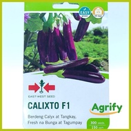 ◧ ↔ ✾ Calixto Seeds Eggplant EastWest 300 seeds