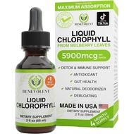 BenevolentNourishmentChlorophyll,&ImmuneSupport,InternalDeodorizer-LiquidDrops,MintFlavor,4MonthSupp