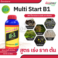 วิตามิน B-1 บี1 มัลติ สตาร์ท ขนาด 1 ลิตร ยาเร่งราก บำรุง ราก วิตตามิน บี1 vitamin b1 ยา เร่งราก root