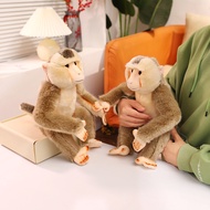 Detailed Realistic Baboon Plush - Vivid Expression Soft Stuffed Toy