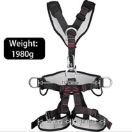 Regular Al Nasr Fullbody Harness | Safety For Working & Rescue | Rope Access
