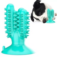 Pet Dog Chew Squeaky  Toys Trainging Molar Puppies Toothbrush Pet Supplies Starfish Dental Care Dogg