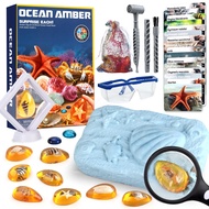 Ocean Dig Kit - 8 Specimens Excavation Kit, Gemstone for Kids, Fossil Ocean Toys Dig Kits for Amber