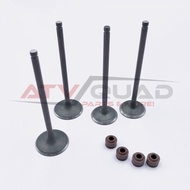 Intake Exhaust Valve Kit for Russian Mechanics RM 500-2 600 650 РМ 196MS2D B01BCFR Engine 505C043 50