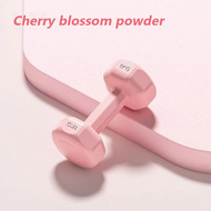 3H Dumbbell Hexagon Wanita | Lady’s Dumbbell untuk Senaman Rumah & Gym | Home Weight Train Workout