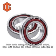 XLZY Bearing 33109 32205 30304 31306 32306 32009 32907 32904 31305 30205 32004 33008 33005 33206 329