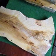 KV01 kayu kemuning emas kayu keris kayu besar