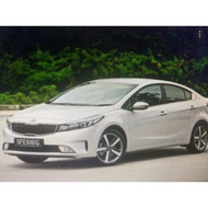 Elantra Rear Absorber | K3 Rear Absorber | Hyundai Rear Absorber |Kia Rear Absorber |55300-A7100 /55