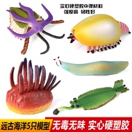 Simulation Cold Warriors Ancient Biological Parrot Snail Three-Leaf Cordyceps Ammonite Model Calf Wo