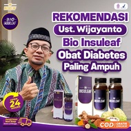 BIO INSULEAF Obat Diabetes ORI 100% - Official Store Partner - Herbal Cair Gula Darah Original