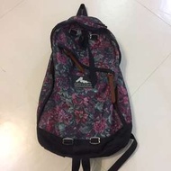 Gregory 紫花 Daypack