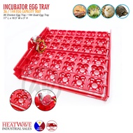 36 Chicken Egg / 144 Quail Egg Incubator Tray
