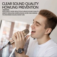RD-3 Dynamic Microphone Professional Handheld Microphone Stage Home KTV Dynamic Microphone Speech Si