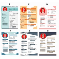 CV / RESUME DESIGN + PROPOSAL LETTER + SCAN (24 HOURS)